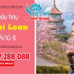 Vé máy bay tháng 6 đi Đài Loan giá bao nhiêu
