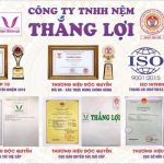 Review nệm Thắng Lợi có đáng mua không?