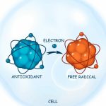 Gốc tự do là gì và tại sao chúng ảnh hưởng đến sức khỏe của bạn?