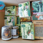 Gửi thuốc đi Nhật bản uy tín tại LHP Express