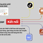 GIẢI PHÁP QUẢN LÝ DỮ LIỆU TẬP TRUNG TỪ CÁC SÀN TMĐT ( Tiktok, Lazada, Shoppe, Tiki,…)