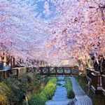 Du lịch Busan tết trải nghiệm không khí se lạnh Hàn Quốc