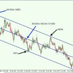 Linear là gì? Ứng dụng và ý nghĩa trong các lĩnh vực