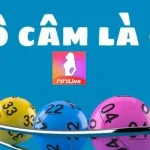 Lô câm đánh con gì dễ trúng nhất?