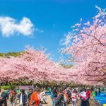 Công viên Ueno: Điểm đến không thể bỏ qua khi du lịch Tokyo