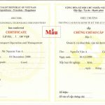 Chứng chỉ sơ cấp vận tải – nghề phát triển trong tương lai