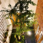 Gạch Thông Gió Trang Trí Mặt Tiền CTS: Thổi Hồn Vào Không Gian Sống, Kiến Tạo Vẻ Đẹp Vượt Thời Gian