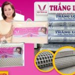 Mua nệm Thắng Lợi chính hãng, giá rẻ ở đâu?