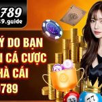 Hướng Dẫn Cách Chơi Tài Xỉu 4 Trái Tại Alo789
