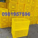 Sọt nhựa cho nhà xưởng chế biến và bảo quản thực phẩm