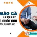 Khám Sùi Mào Gà: Bảng Giá Dịch Vụ Tại Các Bệnh Viện Hiện Nay