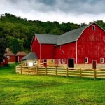 Đổi đất cho nhau: Được đổi khi nào? Thủ tục ra sao?