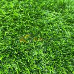 Bán thảm cỏ nhân tạo giá rẻ chất lượng tại TPHCM