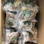 Gửi măng khô đi Canada giá rẻ tại LHP Express