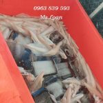 Thùng đá thái lan 200lit – 300lit – 450lit- 800lit giảm giá rẻ./ 0963.839.593 Ms.Loan