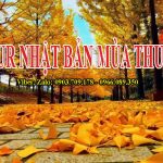Lịch khởi hành Tour Nhật Bản mùa thu 2024