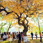 Tour Đà Nẵng – Sa Pa – Hà Nội 4 ngày 3 đêm (Tour Khởi hành hằng ngày)