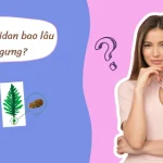 Uống Fucoidan Bao Lâu: Đừng Ngưng Theo “Trend” – Sử Dụng Thông Minh Mới Hiệu Quả