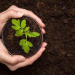 Lý do người dân vẫn nên mua đất có thời hạn sử dụng