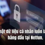 Cách Đăng Nhập Netfun Nhanh Chóng Và An Toàn