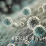 Phụ Gia Nhựa Giúp Ngăn Ngừa Sự Hình Thành Nấm Mốc Trên Bề Mặt