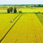 Chi phí tách thửa đất nông nghiệp 2025