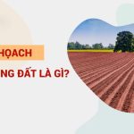 Kế hoạch sử dụng đất là gì? Kỳ kế hoạch sử dụng đất là bao nhiêu năm?