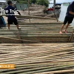 Bảng giá nguyên liệu tre trúc mới nhất tại TPHCM