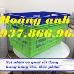 Giá sọt nhựa quai sắt dùng trong kho lạnh, sóng nhựa hở HS 011, sọt nhựa rỗng