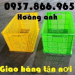 Giá sọt nhựa có bánh xe, sọt nhựa đẩy hàng, sọt nhựa công nghiệp tại hà nội