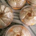 Dịch vụ gửi yến sào đi Mỹ nhanh chóng tại LHP Express