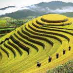 Top 10 đặc sản Tây Bắc ai cũng nên thử qua