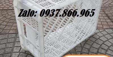 Sọt nhựa dùng àng trong cont lạnh, sóng nhựa nguyên sinh sọt nhựa 525 x 370 x 215 mm.