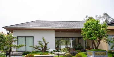 Sống xanh mỗi ngày với vườn rau và cây cảnh trong sân vườn nhà