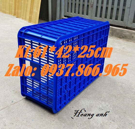 Ảnh 1