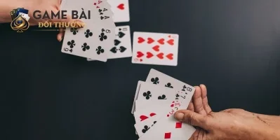 trong Luật Quốc Tế những Nguyên Tắc Bài Phỏm Tính Lá
