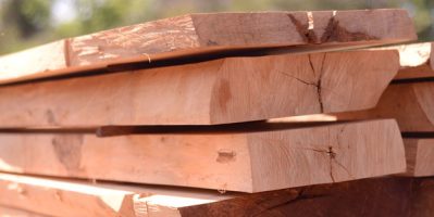 Gỗ Tự Nhiên Là Gì? Tất Cả Những Điều Bạn Cần Biết