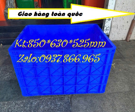 Ảnh 1