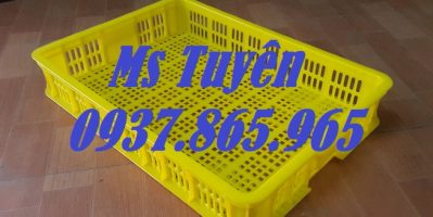 Sóng nhựa hở nguyên sinh, sọt nhựa đựng rau củ, sọt nhựa cao 10, phân phôi sột nhựa