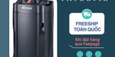 Aqua House – Điểm Đến Hoàn Hảo Cho Người Muốn Nâng Cấp Hồ Cá Chuẩn Chuyên Nghiệp