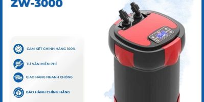 Lọc Thùng Giá Rẻ Có Thật Sự Đáng Dùng?