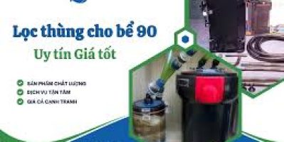 Lọc Thùng Cho Bể 90: Bao Lâu Vệ Sinh Là Chuẩn Dân Chơi?
