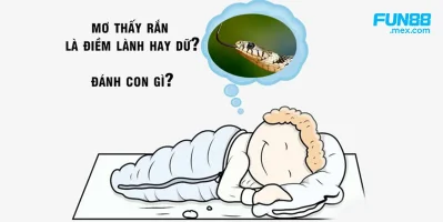 Điềm Báo Mơ Thấy Rắn Là Điềm Gì, Giải Mã Ý Nghĩa