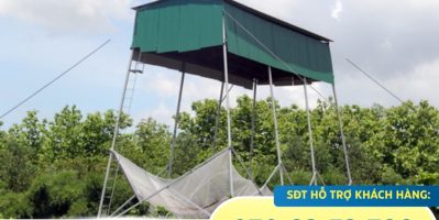 Cách thu hút dơi hiệu quả nhất với máy gọi dơi