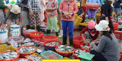 Khám Phá Top 10 Khu Chợ Hải Sản Nổi Tiếng Tại Đà Nẵng