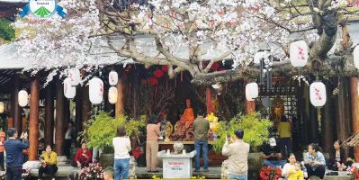 Du Lịch Tết Đà Nẵng – Trải Nghiệm Xuân Rực Rỡ Tại Thành Phố Biển