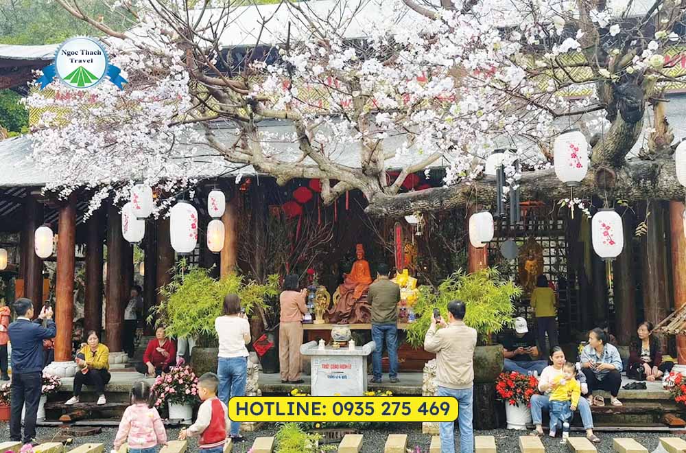 Du Lịch Tết Đà Nẵng – Trải Nghiệm Xuân Rực Rỡ Tại Thành Phố Biển