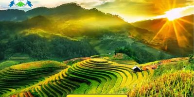 Mù Cang Chải – Vẻ Đẹp Huyền Thoại Giữa Núi Rừng Tây Bắc