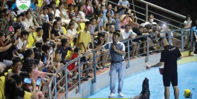 SHOW CÁ HEO CỔ CÒ – TRẢI NGHIỆM GIẢI TRÍ MỚI LẠ TẠI ĐÀ NẴNG