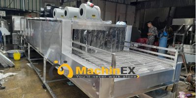 Review máy rửa trái cây công nghiệp Machinex